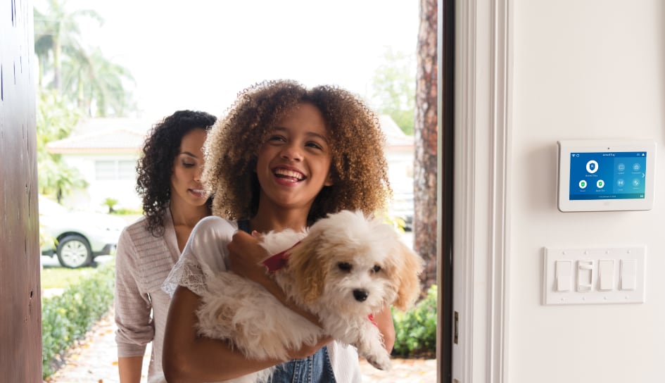 ADT Security System in a Shreveport home